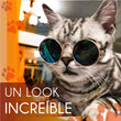 Cargar imagen en el visor de la galería, ¡NUEVO! GAFAS GLAMOUR CATS®  | ⭐⭐⭐⭐⭐

